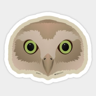 Baby Owl Face Sticker